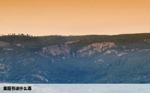 重阳节送什么酒