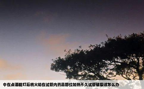 中在点酒精灯后将火焰在试管内药品部位加热不久试管破裂该怎么办