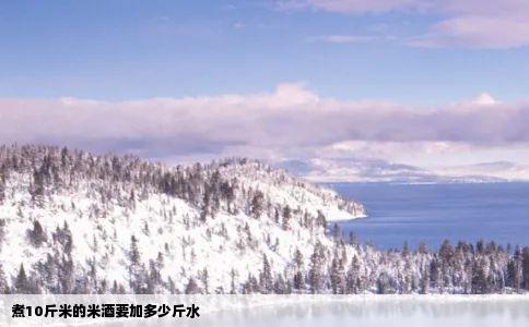 煮10斤米的米酒要加多少斤水