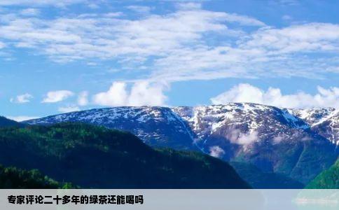 专家评论二十多年的绿茶还能喝吗
