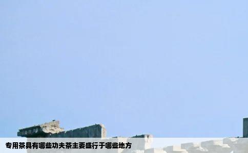 专用茶具有哪些功夫茶主要盛行于哪些地方
