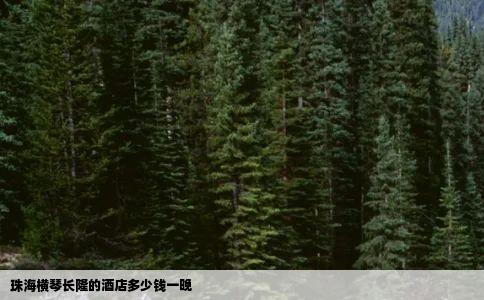 珠海横琴长隆的酒店多少钱一晚