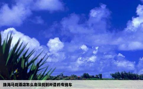 珠海马戏酒店怎么走没找到所谓的专线车