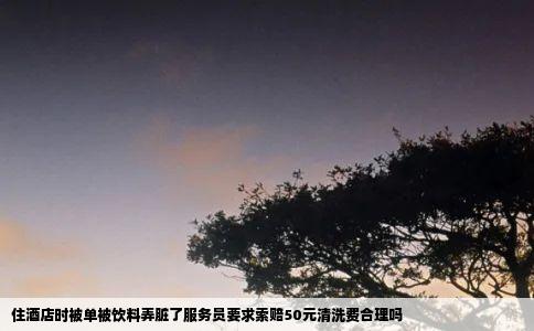 住酒店时被单被饮料弄脏了服务员要求索赔50元清洗费合理吗