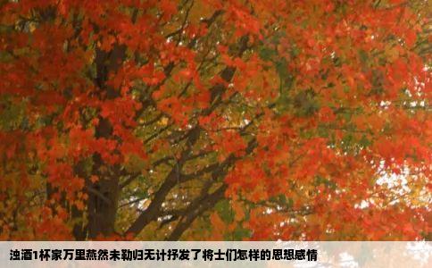 浊酒1杯家万里燕然未勒归无计抒发了将士们怎样的思想感情