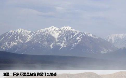 浊酒一杯家万里里包含的是什么情感