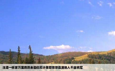 浊酒一杯家万里燕然未勒归无计羌管悠悠霜满地人不寐将军