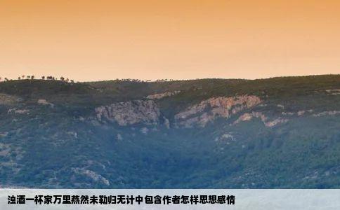 浊酒一杯家万里燕然未勒归无计中包含作者怎样思想感情