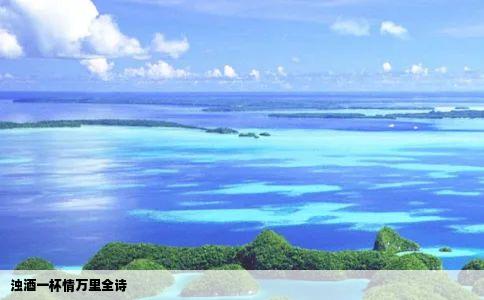 浊酒一杯情万里全诗