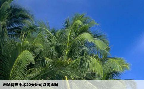 着急痔疮手术22天后可以喝酒吗