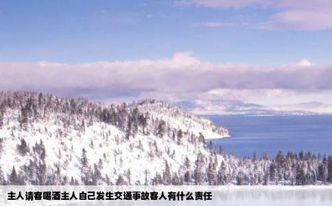 主人请客喝酒主人自己发生交通事故客人有什么责任