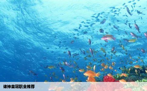 诸神皇冠职业推荐