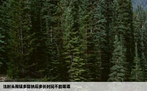 注射头孢锰多酯钠后多长时间不能喝酒