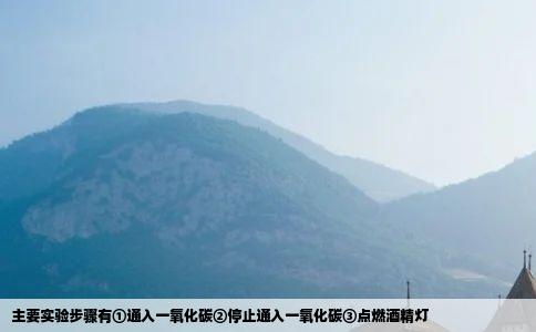 主要实验步骤有①通入一氧化碳②停止通入一氧化碳③点燃酒精灯