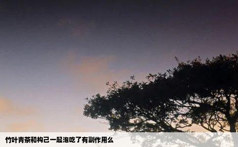 竹叶青茶和构己一起泡吃了有副作用么