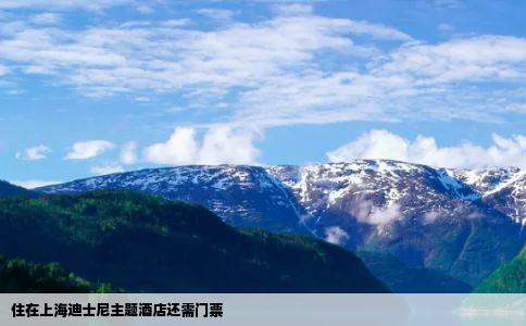 住在上海迪士尼主题酒店还需门票