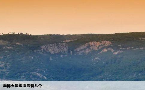 淄博五星级酒店有几个