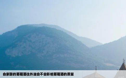 自家酿的葡萄酒往外溢会不会影响葡萄酒的质量
