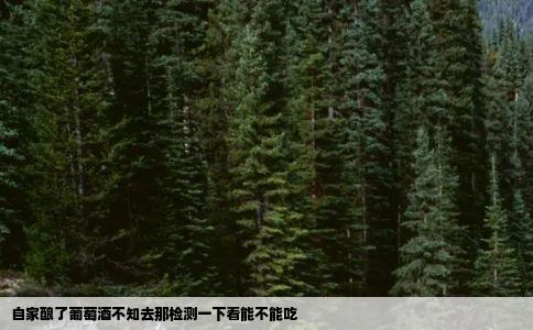 自家酿了葡萄酒不知去那检测一下看能不能吃
