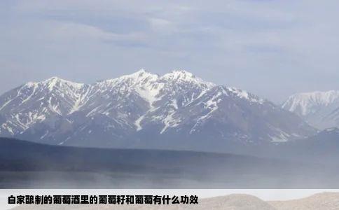 自家酿制的葡萄酒里的葡萄籽和葡萄有什么功效