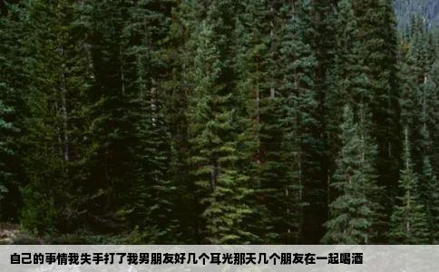 自己的事情我失手打了我男朋友好几个耳光那天几个朋友在一起喝酒