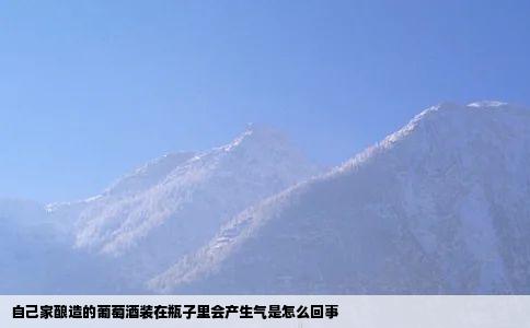 自己家酿造的葡萄酒装在瓶子里会产生气是怎么回事