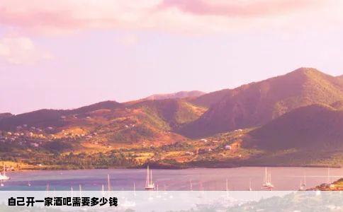 自己开一家酒吧需要多少钱