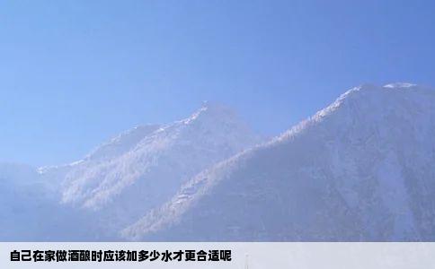 自己在家做酒酿时应该加多少水才更合适呢