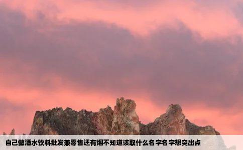 自己做酒水饮料批发兼零售还有烟不知道该取什么名字名字想突出点