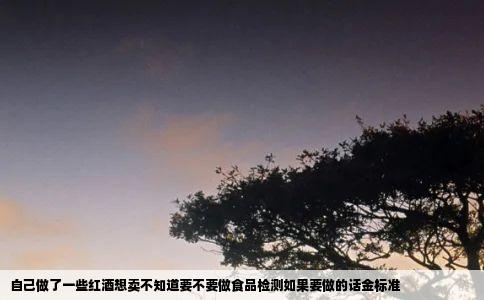 自己做了一些红酒想卖不知道要不要做食品检测如果要做的话金标准