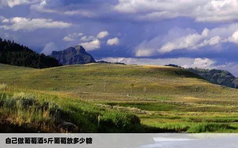 自己做葡萄酒5斤葡萄放多少糖