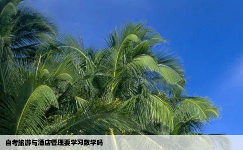自考旅游与酒店管理要学习数学吗