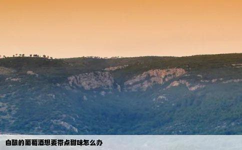 自酿的葡萄酒想要带点甜味怎么办