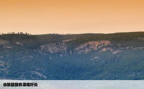 自酿猕猴桃酒喝好处