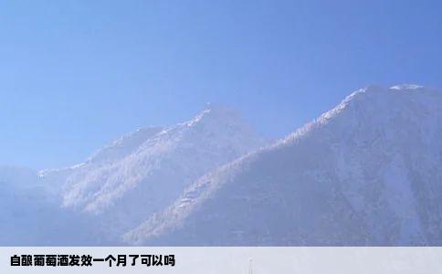 自酿葡萄酒发效一个月了可以吗