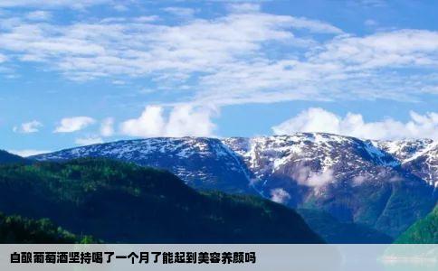 自酿葡萄酒坚持喝了一个月了能起到美容养颜吗