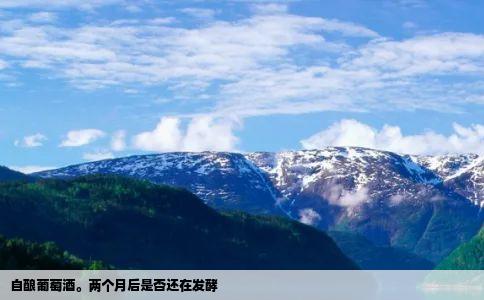 自酿葡萄酒。两个月后是否还在发酵