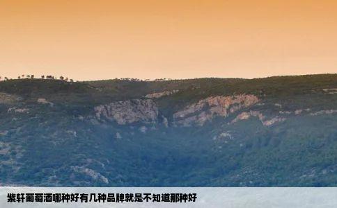 紫轩葡萄酒哪种好有几种品牌就是不知道那种好