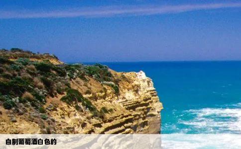 自制葡萄酒白色的