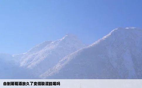 自制葡萄酒放久了变得酸涩能喝吗