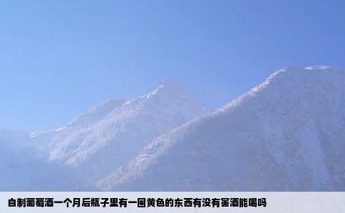 自制葡萄酒一个月后瓶子里有一圈黄色的东西有没有害酒能喝吗