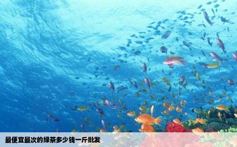 最便宜最次的绿茶多少钱一斤批发