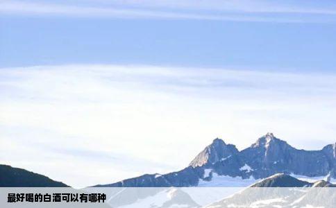 最好喝的白酒可以有哪种