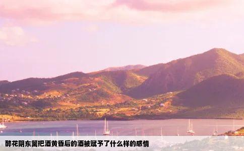 醉花阴东篱把酒黄昏后的酒被赋予了什么样的感情