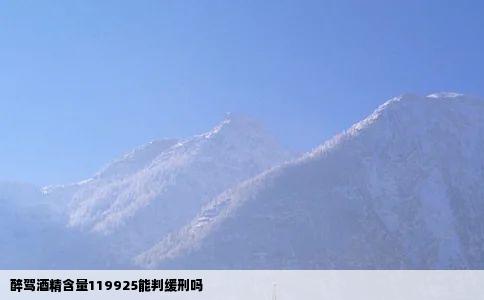 醉驾酒精含量119925能判缓刑吗