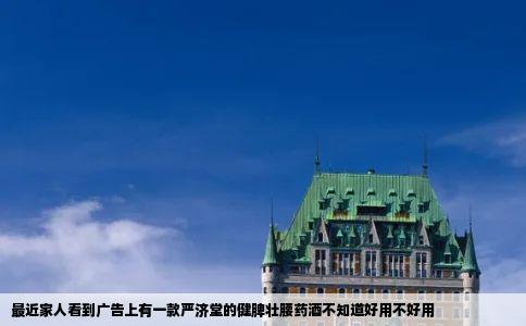 最近家人看到广告上有一款严济堂的健脾壮腰药酒不知道好用不好用