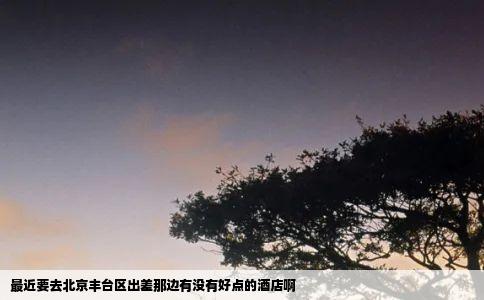 最近要去北京丰台区出差那边有没有好点的酒店啊
