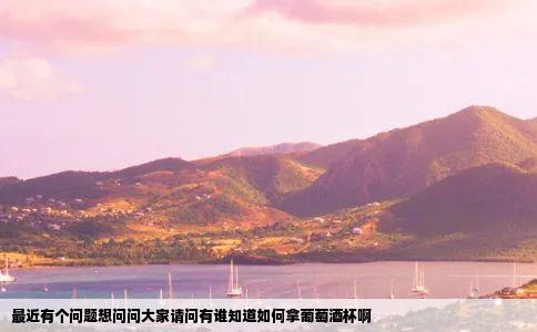 最近有个问题想问问大家请问有谁知道如何拿葡萄酒杯啊