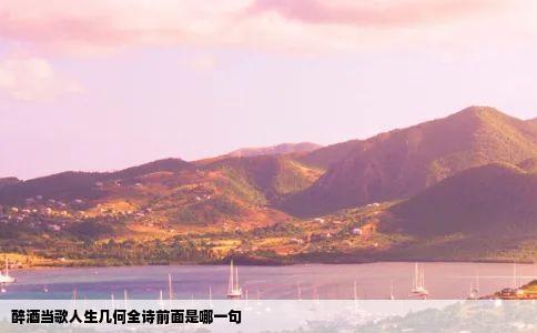 醉酒当歌人生几何全诗前面是哪一句