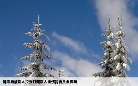醉酒后被别人拉去打架致人重伤我要负全责吗